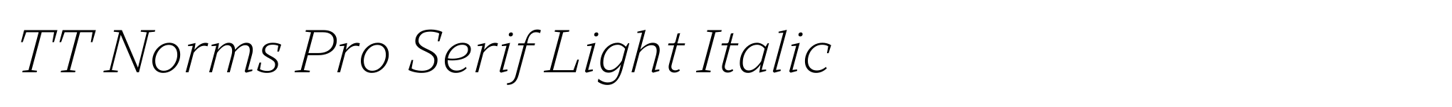 TT Norms Pro Serif Light Italic image